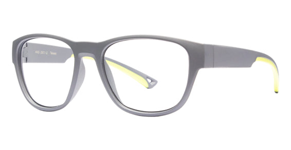 HiDX A002 Protective Eyewear - Grey & Green